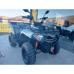 QUAD 300 OMOLOGATO STRADALE 2X4 CON RIDOTTE