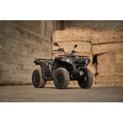 NUOVI QUAD GOES IN ARRIVO