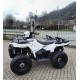 QUAD POLARIS SPORTSMAN 570 OCCASIONE