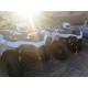 QUAD POLARIS SPORTSMAN 570 NUOVO