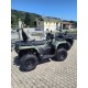 QUAD NEW GOES TERROX 500 L EPS PASSO LUNGO