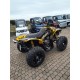 QUAD CAN AM RENEGADE 800 OCCASIONA