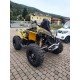 QUAD CAN AM RENEGADE 800 OCCASIONA