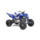 YAMAHA RAPTOR 700 2019