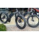 FAT BIKE ELETTRICA