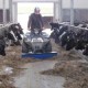 SISTEMA ARATRO A MONTAGGIO ANTERIORE DA LAVORO IN ACCIAIO