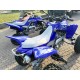 QUAD YAMAHA RAPTOR 700SE SPECIAL EDITION OMOLOGATO