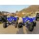 QUAD YAMAHA RAPTOR 700SE SPECIAL EDITION OMOLOGATO