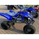 QUAD YAMAHA RAPTOR 700SE SPECIAL EDITION OMOLOGATO