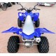 QUAD YAMAHA RAPTOR 700SE SPECIAL EDITION OMOLOGATO