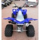 QUAD YAMAHA RAPTOR 700SE SPECIAL EDITION OMOLOGATO