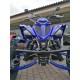 QUAD YAMAHA RAPTOR 700SE SPECIAL EDITION OMOLOGATO