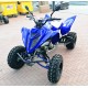 QUAD YAMAHA RAPTOR 700SE SPECIAL EDITION OMOLOGATO