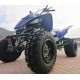 QUAD YAMAHA RAPTOR 700SE SPECIAL EDITION OMOLOGATO