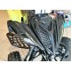 YAMAHA RAPTOR 700 SPECIAL EDITION TARGATO IMMATRICOLATO SU STRADA