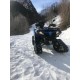 QUAD CFORCE 450 LUXURY ALLESTITO CON CINGOLI NEVE