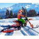 KIT CINGOLI NEVE PER MOTO SNOWRIDER