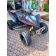 QUAD SPORTIVO 250 OMOLOGATO 2 POSTI