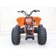 QUAD 125 PER BAMBINI E RAGAZZI