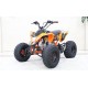 QUAD 125 PER BAMBINI E RAGAZZI