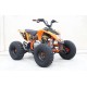 QUAD 125 PER BAMBINI E RAGAZZI