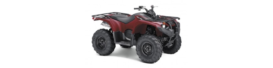 QUAD ATV UTV CON OMOLOGAZIONE AGRICOLA QUAD TRATTORE QUAD TARGA GIALLA QUAD DA LAVORO